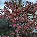 La Lenzerina Casa Indipendente Con Giardino Kwatera prywatna