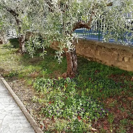 La Lenzerina Casa Indipendente Con Giardino Scarlino