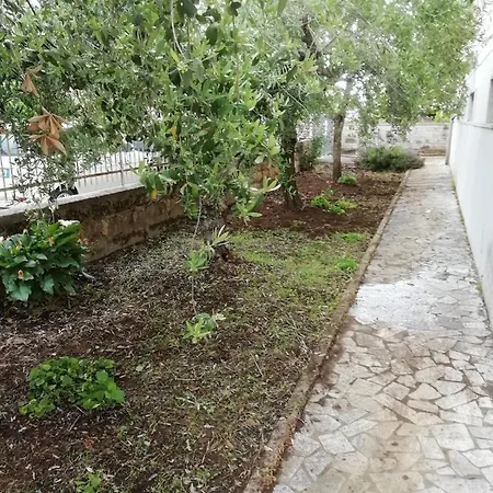 Homestay La Lenzerina Casa Indipendente Con Giardino *