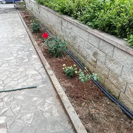 Ubytování v soukromí La Lenzerina Casa Indipendente Con Giardino