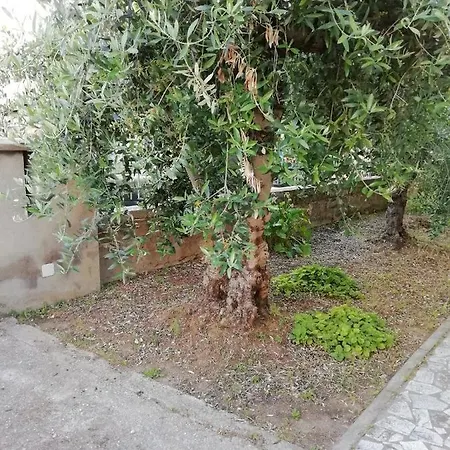 La Lenzerina Casa Indipendente Con Giardino *
