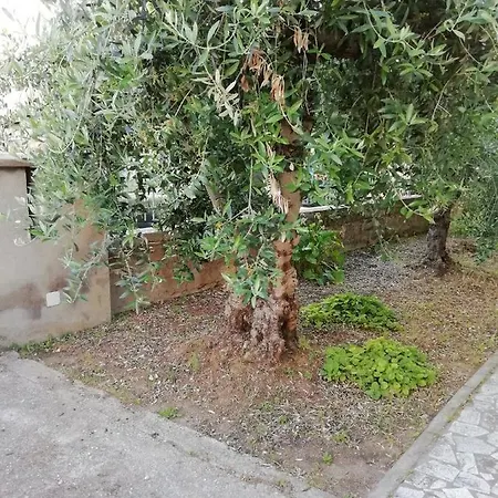 La Lenzerina Casa Indipendente Con Giardino *