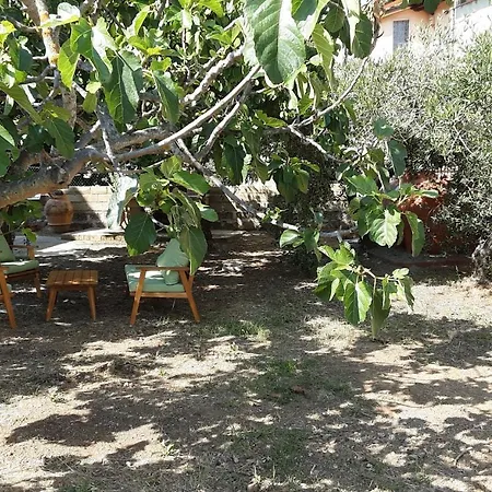 La Lenzerina Casa Indipendente Con Giardino