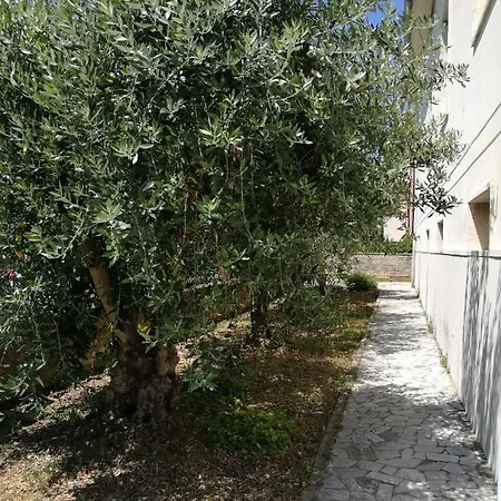 Homestay La Lenzerina Casa Indipendente Con Giardino *