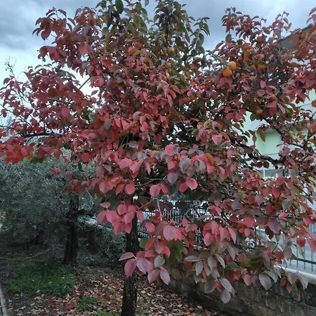 La Lenzerina Casa Indipendente Con Giardino Ubytování v soukromí