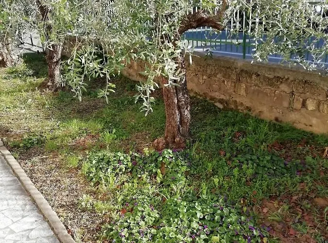 La Lenzerina Casa Indipendente Con Giardino Scarlino